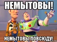 Немытовы! Немытовы повсюду!