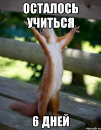 осталось учиться 6 дней