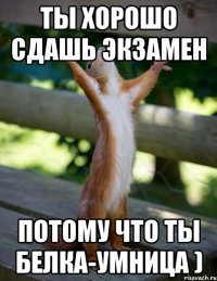 Ты хорошо сдашь экзамен потому что ты белка-умница )
