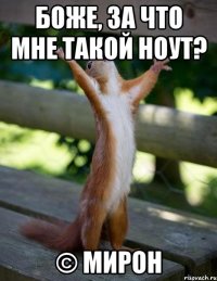 Боже, за что мне такой ноут? © Мирон