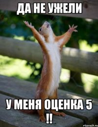 да не ужели у меня оценка 5 !!