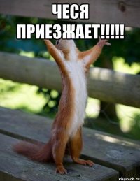 ЧЕСЯ ПРИЕЗЖАЕТ!!!!! 