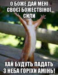 о боже дай мені своєї божествіної сили хай будуть падать з неба горіхи амінь!