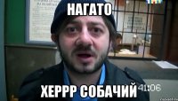 нагато херрр собачий