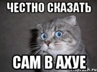 Честно сказать сам в ахуе