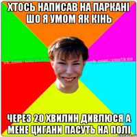 Хтось написав на паркані шо я умом як кінь через 20 хвилин дивлюся а мене цигани пасуть на полі