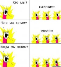 СУСЛИКИ!!!! МЯСО!!!!! 