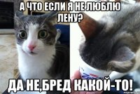 А что если я не люблю Лену? Да не,бред какой-то!