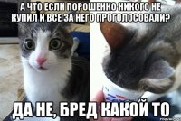 А что если Порошенко никого не купил и все за него проголосовали? да не, бред какой то