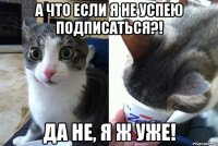 а что если я не успею подписаться?! да не, я ж уже!