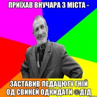 Приїхав внучара з міста - Заставив ледацюгу гній од свиней одкидати ©ДІД