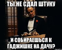 Ты не сдал штуку и собираешься к Гаджишке на дачу?