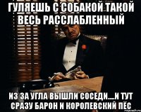 Гуляешь с собакой такой весь расслабленный Из за угла вышли соседи....И тут сразу барон и королевский пёс