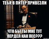 Тебя в Питер привезли Что бы ты мне тут пердел как пес???