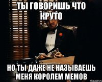 Ты говоришь что круто Но ты даже не называешь меня королем мемов