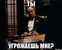 ТЫ Угрожаешь мне?