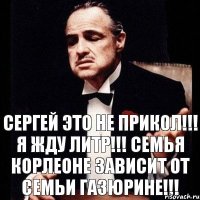 Сергей это не прикол!!! Я жду литр!!! Семья Корлеоне зависит от семьи Газюрине!!!