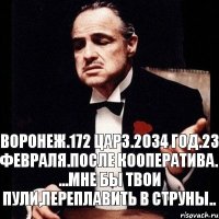 воронеж.172 ЦАРЗ.2034 год.23 февраля.после кооператива. ...мне бы твои пули,переплавить в струны..