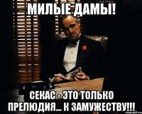 Милые дамы! Секас - это только прелюдия... к замужеству!!!