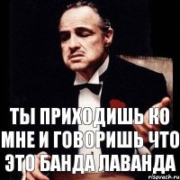 Ты приходишь ко мне и говоришь что это банда лаванда