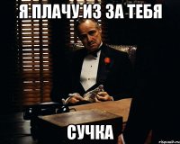 я плачу из за тебя сучка