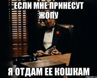 если мне принесут жопу я отдам ее кошкам