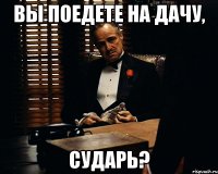 Вы поедете на дачу, Сударь?