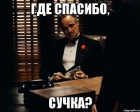 где спасибо, сучка?