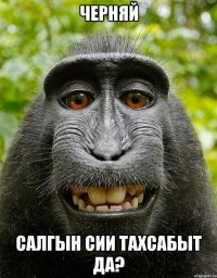 Черняй Салгын сии тахсабыт да?