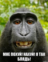  Мне похуй! Нахуй! Я так блядь!