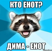 Кто енот? дима - енот