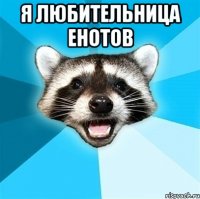 Я любительница енотов 