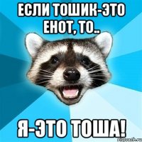 Если Тошик-это енот, то.. я-это Тоша!