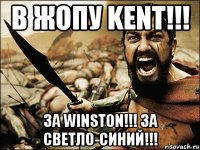 В жопу Kent!!! За Winston!!! За светло-синий!!!