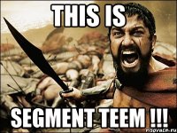 THIS IS SEGMENT TEEM !!!