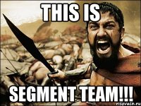 THIS IS SEGMENT TEAM!!!