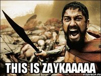  THIS IS ZAYKAAAAA