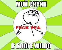 Мой скрин в блоге Wildo