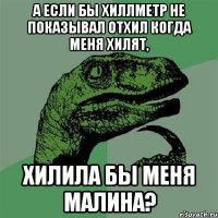 А если бы хиллметр не показывал отхил когда меня хилят, Хилила бы меня Малина?