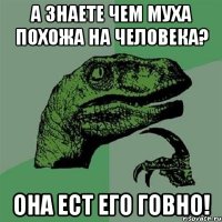 А знаете чем муха похожа на Человека? Она ест Его Говно!