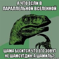 а что если в параллельной вселенной Шама бесится что его зовут не Шамсутдин, а Шамиль?