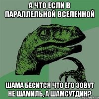 а что если в параллельной вселенной Шама бесится что его зовут не Шамиль, а Шамсутдин?