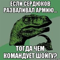 если сердюков разваливал армию... тогда чем командует шойгу?