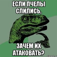 Если пчелы слились, зачем их атаковать?