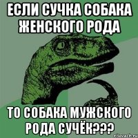 ЕСЛИ СУЧКА СОБАКА ЖЕНСКОГО РОДА ТО СОБАКА МУЖСКОГО РОДА СУЧЁК???