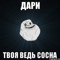 Дари твоя ведь сосна