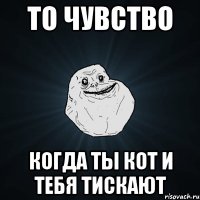 то чувство когда ты кот и тебя тискают