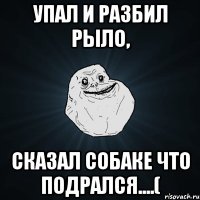 упал и разбил рыло, сказал собаке что подрался....(