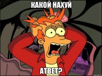 Какой нахуй АТВЕТ?