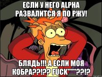 Если у него Alpha развалится я по ржу! Блядь!!! А если моя кобра??!?? Fuck"""??!?